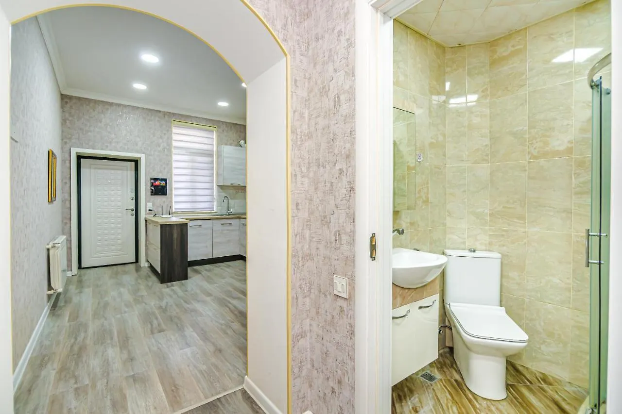 Luxury 2 Room Apartment In The Center Baky