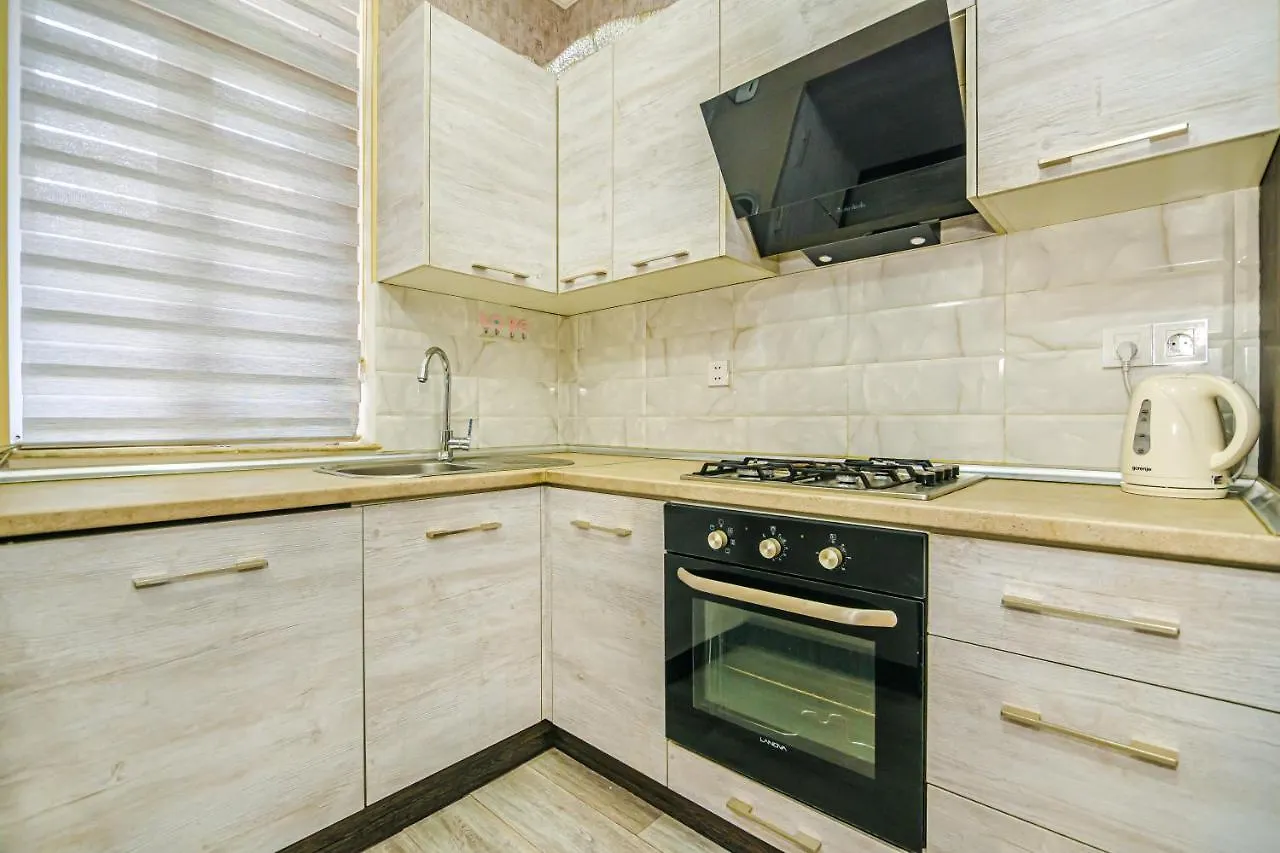 Luxury 2 Room Apartment In The Center Baky